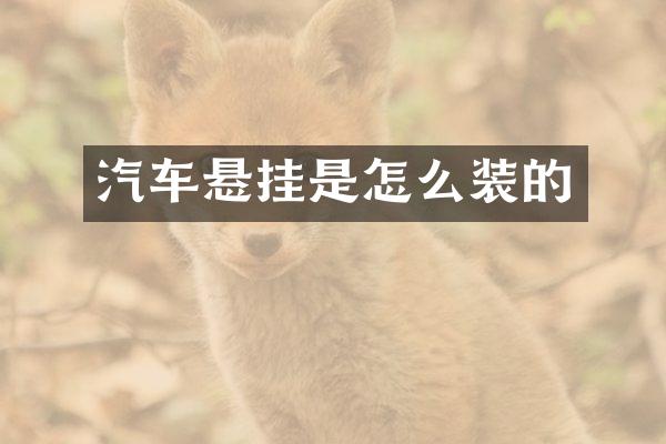 汽车悬挂是怎么装的