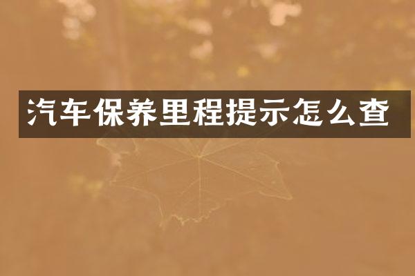 汽车保养里程提示怎么查