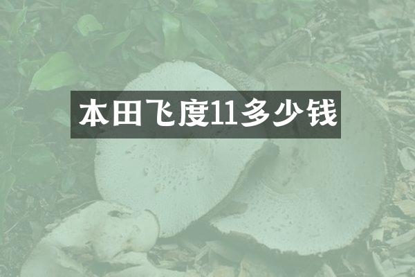 本田飞度11多少钱
