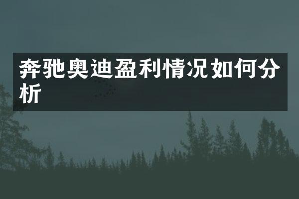 奔驰奥迪盈利情况如何分析