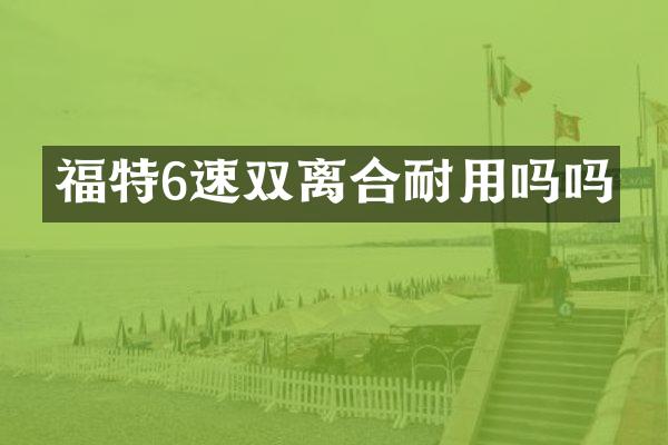福特6速双离合耐用吗吗