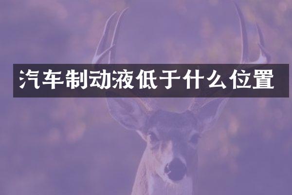 汽车制动液低于什么位置