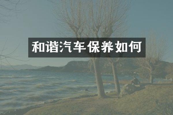 和谐汽车保养如何