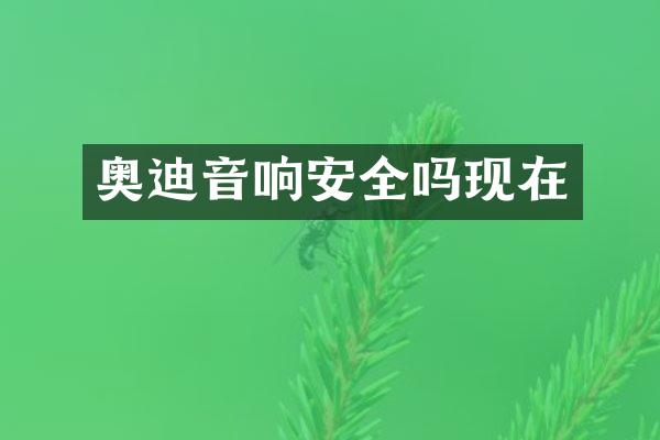 奥迪音响安全吗现在