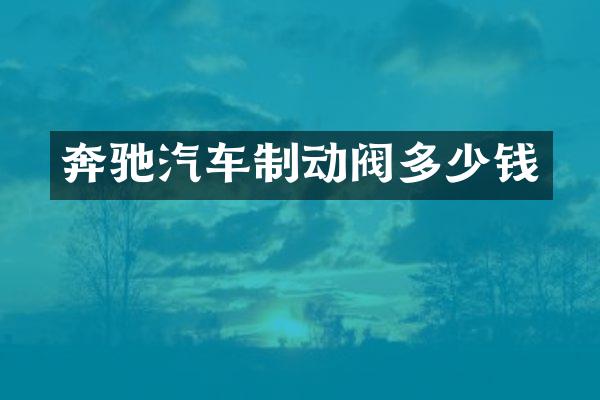 奔驰汽车制动阀多少钱