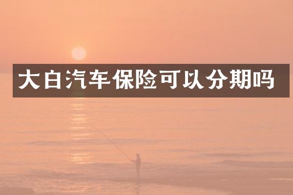 大白汽车保险可以分期吗