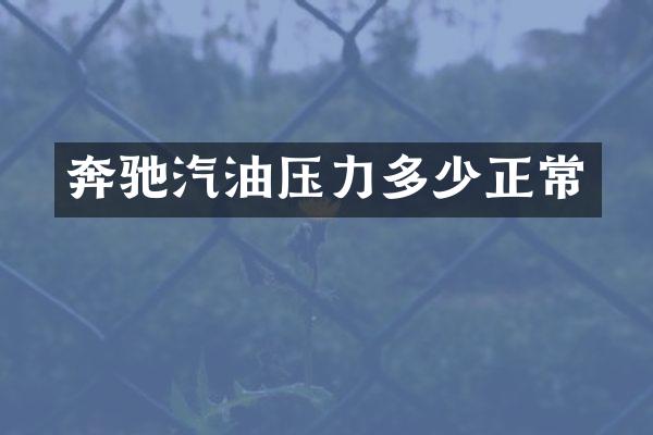 奔驰汽油压力多少正常