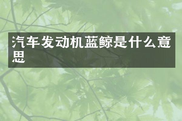 汽车发动机蓝鲸是什么意思