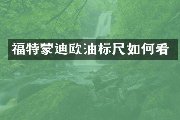 福特蒙迪欧油标尺如何看