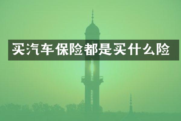 买汽车保险都是买什么险