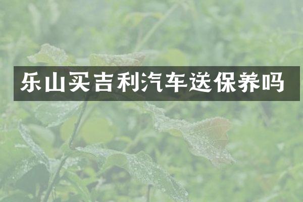 乐山买吉利汽车送保养吗