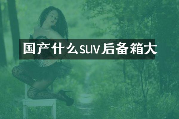 国产什么suv后备箱大