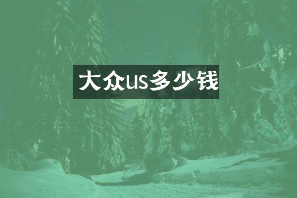 大众us多少钱