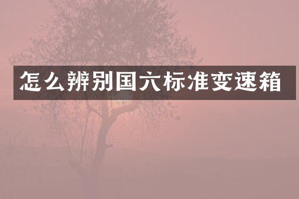 怎么辨别国六标准变速箱