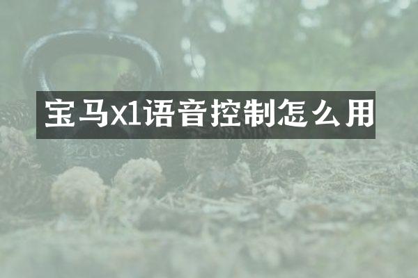 宝马x1语音控制怎么用