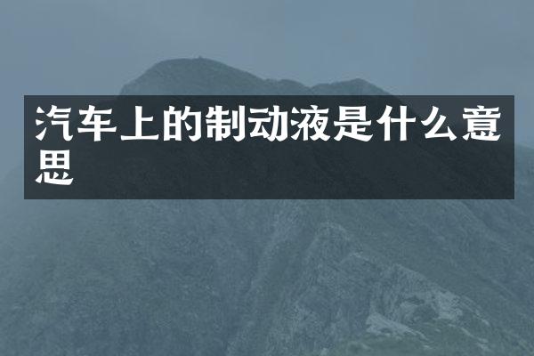 汽车上的制动液是什么意思