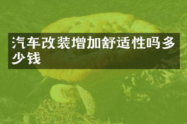 汽车改装增加舒适性吗多少钱