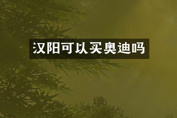 汉阳可以买奥迪吗