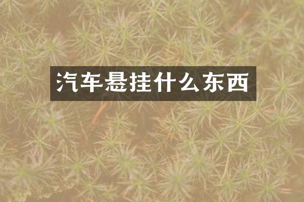 汽车悬挂什么东西