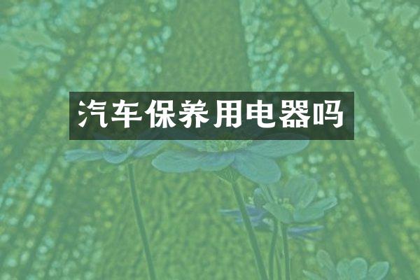 汽车保养用电器吗