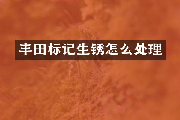 丰田标记生锈怎么处理