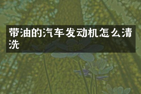 带油的汽车发动机怎么清洗