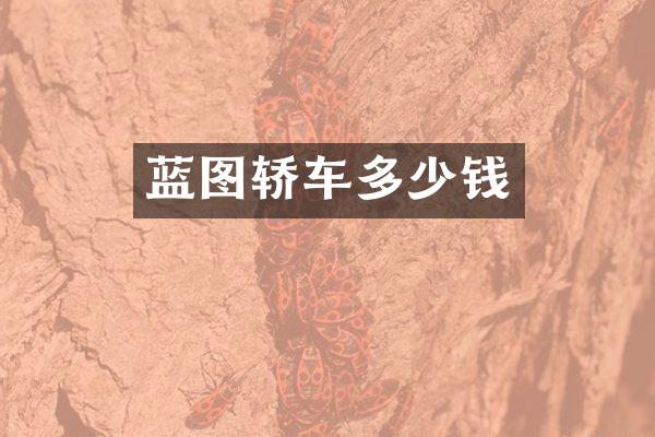 蓝图轿车多少钱
