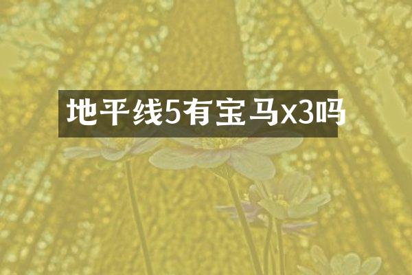地平线5有宝马x3吗