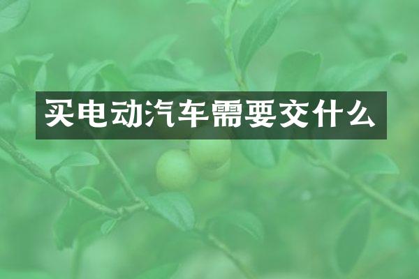 买电动汽车需要交什么
