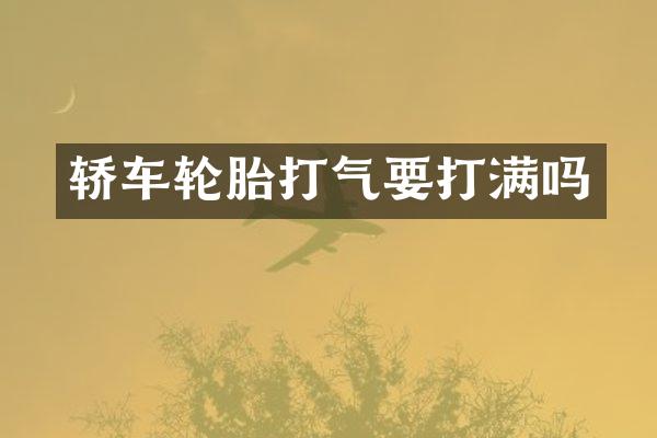 轿车轮胎打气要打满吗