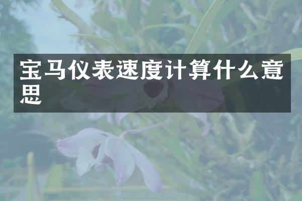 宝马仪表速度计算什么意思