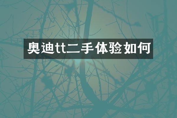 奥迪tt二手体验如何