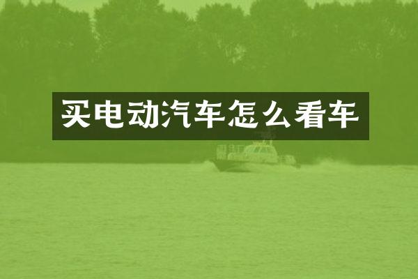 买电动汽车怎么看车