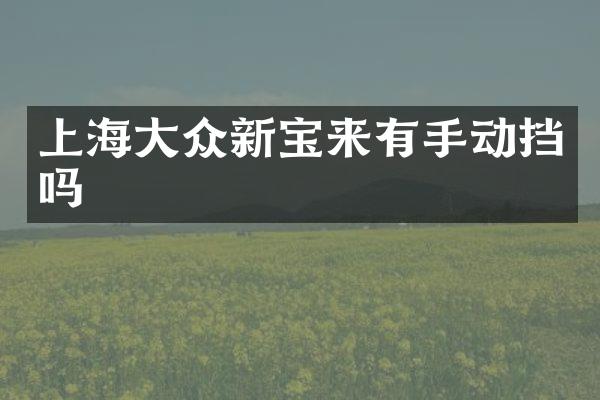 上海大众新宝来有手动挡吗