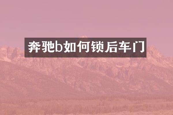 奔驰b如何锁后车门