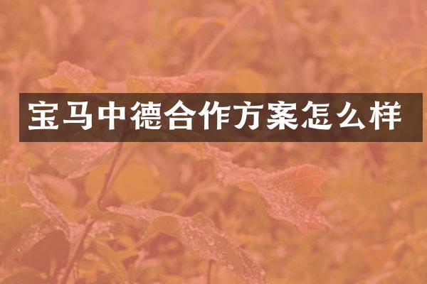 宝马中德合作方案怎么样