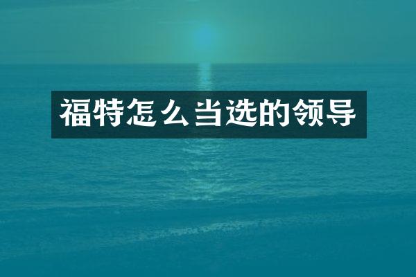 福特怎么当选的领导