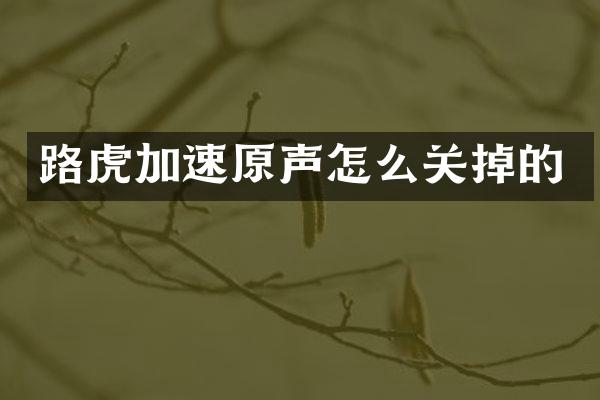 路虎加速原声怎么关掉的