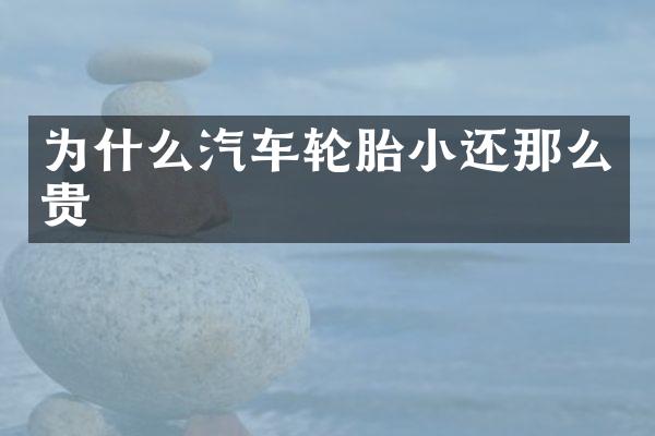 为什么汽车轮胎小还那么贵