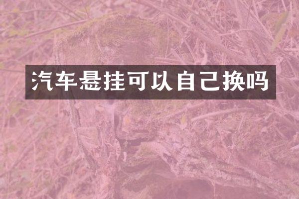 汽车悬挂可以自己换吗