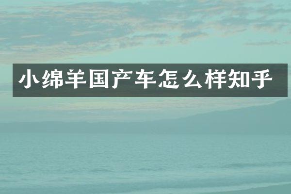 小绵羊国产车怎么样知乎