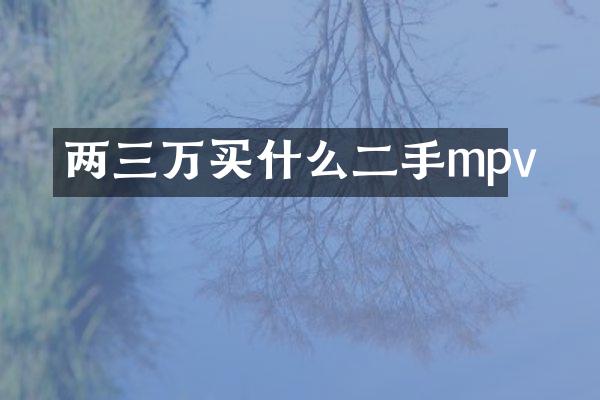 两三万二手mpv