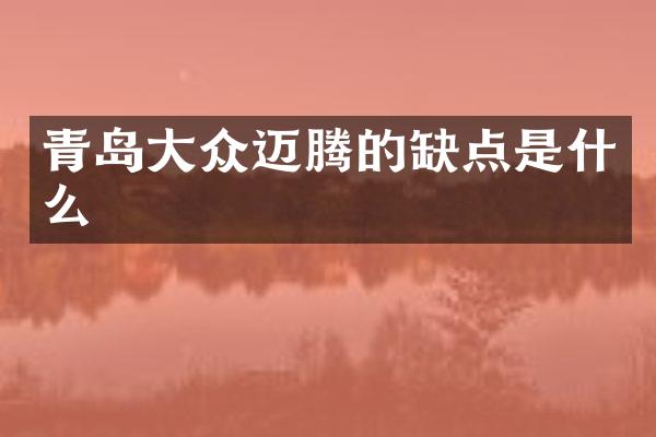 青岛大众迈腾的缺点是什么
