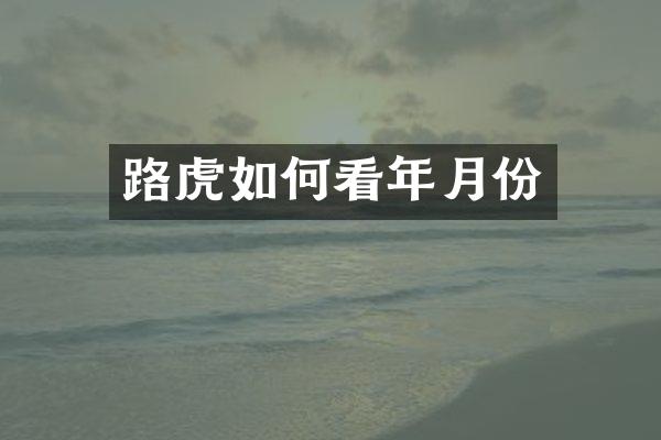 路虎如何看年月份
