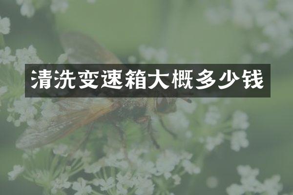 清洗变速箱大概多少钱
