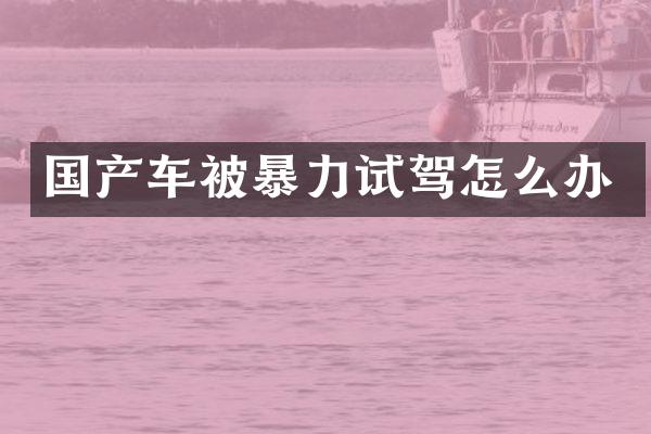 国产车被暴力试驾怎么办