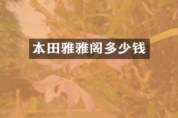 本田雅雅阁多少钱