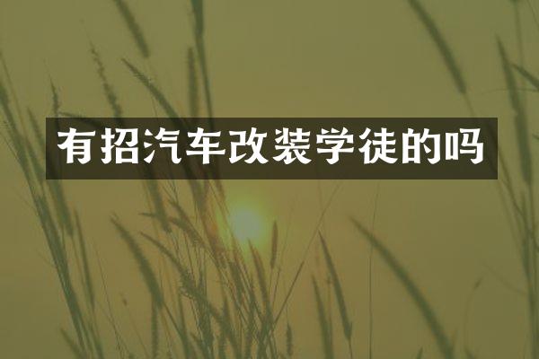 有招汽车改装学徒的吗