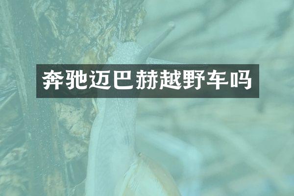 奔驰迈巴赫越野车吗