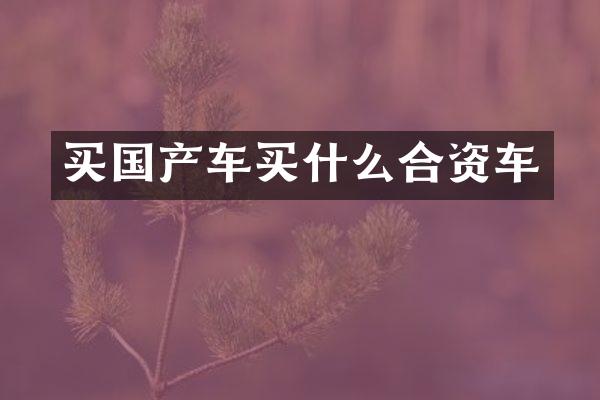 买国产车买什么合资车